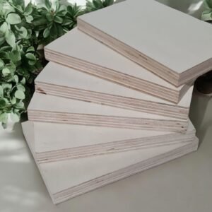 Crudo Premium Chopo 15 mm